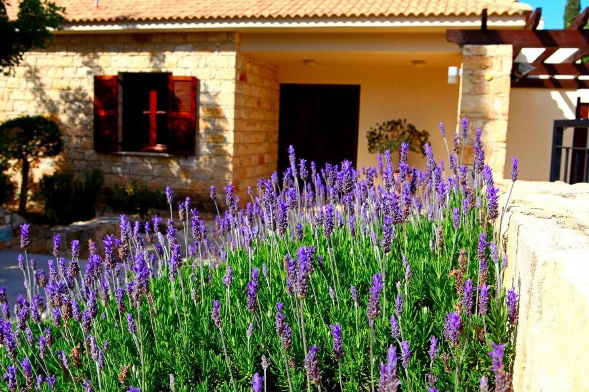 Villa Aphrodite Hills Holiday Residences Superior Villas 3 Bedroom Superior Villa - 0066 Paphos
